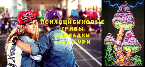 хмурый Алексеевка