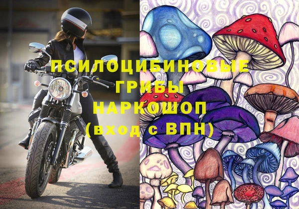 сатива Алзамай