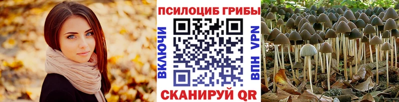 ОМГ ОМГ сайт Кондопога Псилоцибиновые грибы Magic Shrooms