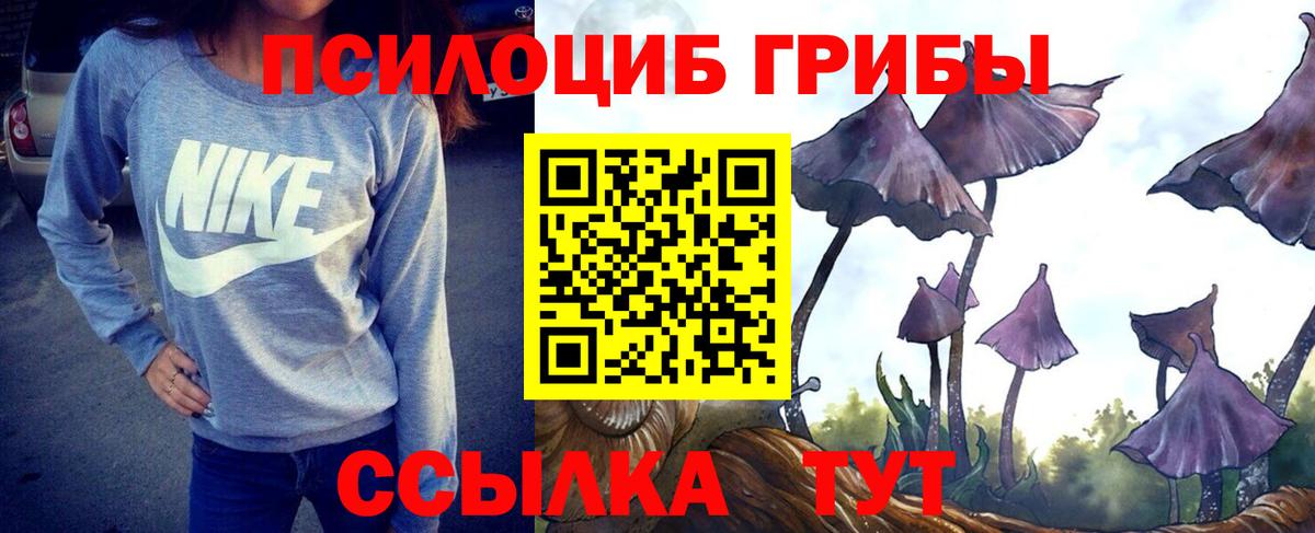 Галлюциногенные грибы GOLDEN TEACHER  Вход с VPN  Кондопога 