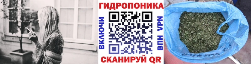 наркотики  Кондопога  blacksprut   shop клад  Конопля THC 21% 
